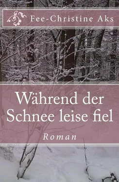 Fee-Christine Aks Während der Schnee leise fiel обложка книги