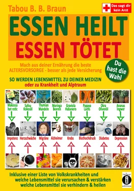 Tabou B. B. Braun Essen heilt – Essen tötet обложка книги