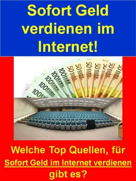 Claudia Schiefer Sofort Geld verdienen im Internet! обложка книги