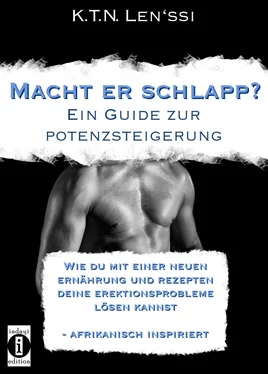 K. T. N. Lens'si Macht er schlapp? обложка книги