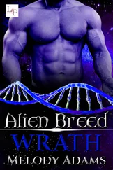 Melody Adams - Wrath