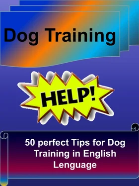 John Trump Dog Training - 50 perfect Tips for Dog Training in English Lenguage обложка книги