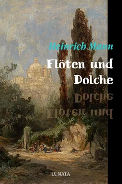 Heinrich Mann Flöten und Dolche обложка книги