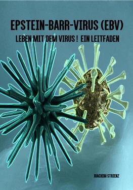 Joachim Strienz Epstein-Barr-Virus (EBV) обложка книги