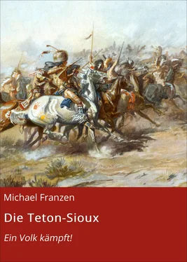 Michael Franzen Die Teton-Sioux обложка книги