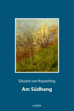 Eduard von Keyserling Am Südhang обложка книги