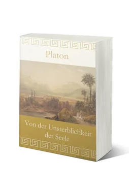 Platon Platon Von der Unsterblichkeit der Seele обложка книги