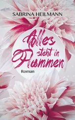 Sabrina Heilmann - Alles steht in Flammen