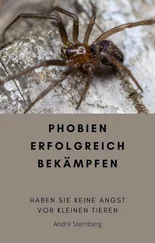 André Sternberg - Phobien erfolgreich bekämpfen