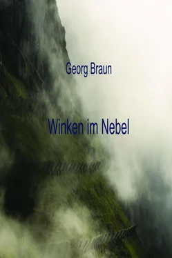 Georg Braun Winken im Nebel обложка книги