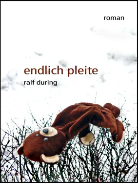 Ralf During endlich pleite обложка книги