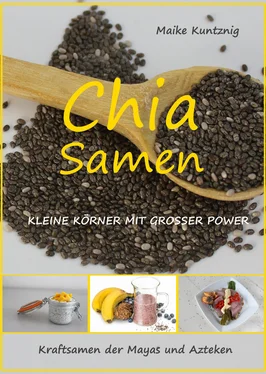Maike Kuntznig Chia Samen. Kleine Körner mit grosser Power. обложка книги