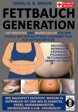 Tabou B. B. Braun Fettbauch Generation обложка книги