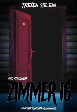 Max Stascheit Zimmer 16 обложка книги