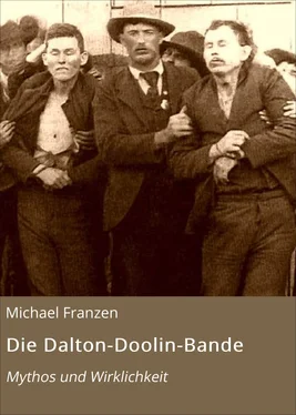 Michael Franzen Die Dalton-Doolin-Bande обложка книги