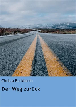 Christa Burkhardt Der Weg zurück обложка книги