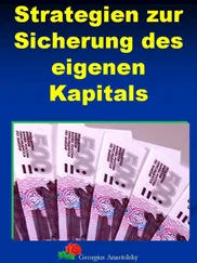 Georgius Anastolsky - Strategien zur Sicherung des eigenen Kapitals
