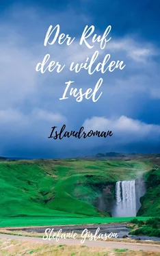 Stefanie Gislason Der Ruf der wilden Insel обложка книги