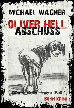 Michael Wagner Oliver Hell Abschuss обложка книги