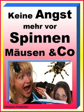 Georgius Anastolsky Keine Angst mehr vor Spinnen Mäusen & Co обложка книги