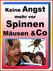 Georgius Anastolsky - Keine Angst mehr vor Spinnen Mäusen & Co