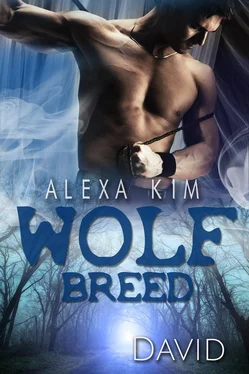 Alexa Kim Wolf Breed - David (Band 7) обложка книги