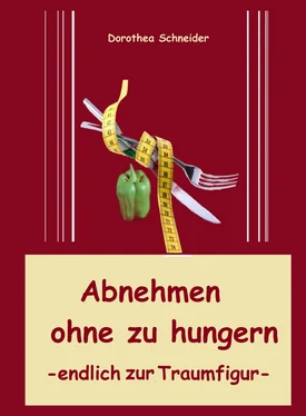 Dorothea Schneider Abnehmen ohne zu hungern обложка книги