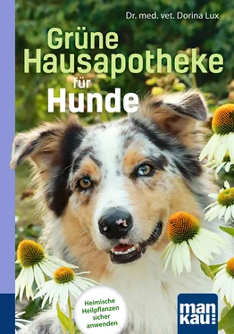 Dorina Lux Grüne Hausapotheke für Hunde. Kompakt-Ratgeber обложка книги