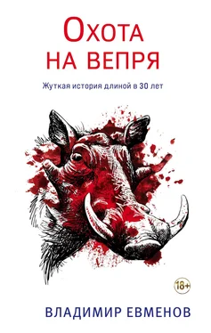 Владимир Евменов Охота на вепря обложка книги