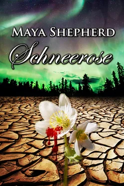 Maya Shepherd Schneerose обложка книги