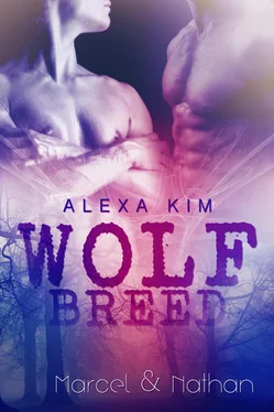 Alexa Kim Wolf Breed - Marcel & Nathan (Band 3) Sidestory обложка книги