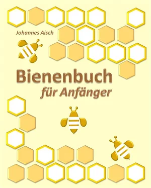 Johannes Aisch Bienenbuch für Anfänger обложка книги