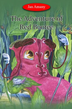 Jan Amany The Adventure of Red Bootee обложка книги