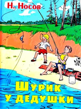 Николай Носов Шурик у дедушки. Рассказы обложка книги