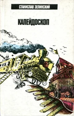 Станислав Зелинский Калейдоскоп обложка книги