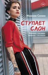 Максим Сонин - Ступает слон