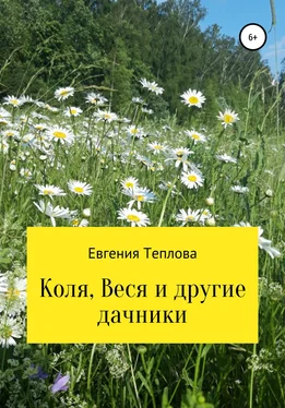 Евгения Теплова Коля, Веся и другие дачники обложка книги