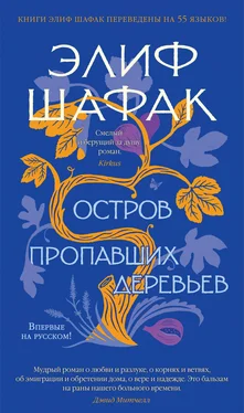 Элиф Шафак Остров пропавших деревьев обложка книги