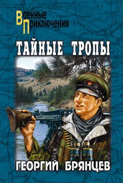 Георгий Брянцев Тайные тропы (сборник) обложка книги