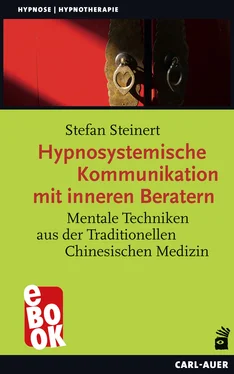 Stefan Steinert Hypnosystemische Kommunikation mit inneren Beratern обложка книги