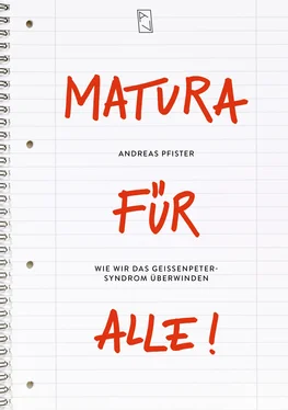 Andreas Pfister Matura für alle обложка книги