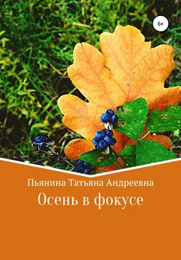 Татьяна Пьянина Осень в фокусе обложка книги