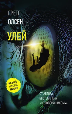 Грегг Олсен Улей обложка книги