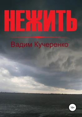 Вадим Кучеренко Нежить обложка книги