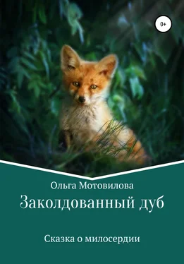 Ольга Мотовилова Заколдованный дуб обложка книги