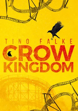 Tino Falke Crow Kingdom