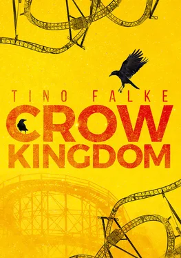 Tino Falke Crow Kingdom обложка книги