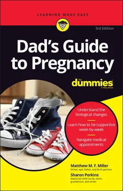 Sharon Perkins Dad's Guide to Pregnancy For Dummies обложка книги