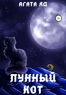 Агата Яд Лунный кот обложка книги