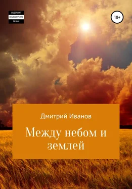 Дмитрий Иванов Между небом и землей обложка книги